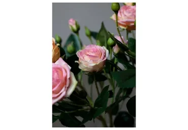 Веточка кустовых роз из полимерной глины (Марина Головина)