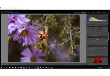 Красивые цвета без труда. Работа с цветом в Lightroom (Александра Калтыкова)
