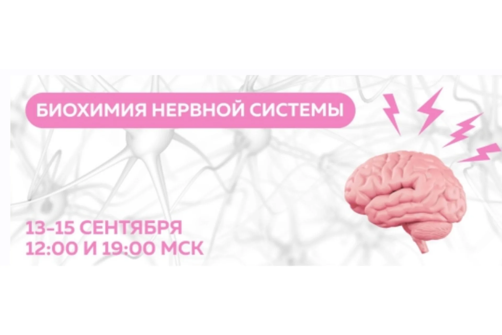 [МИИН] Биохимия нервной системы. Тариф Слушаю и участвую (Екатерина Веселова, Ольга Евдокимова), фото 1 из 1.