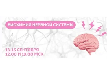 [МИИН] Биохимия нервной системы. Тариф Слушаю и участвую (Екатерина Веселова, Ольга Евдокимова)