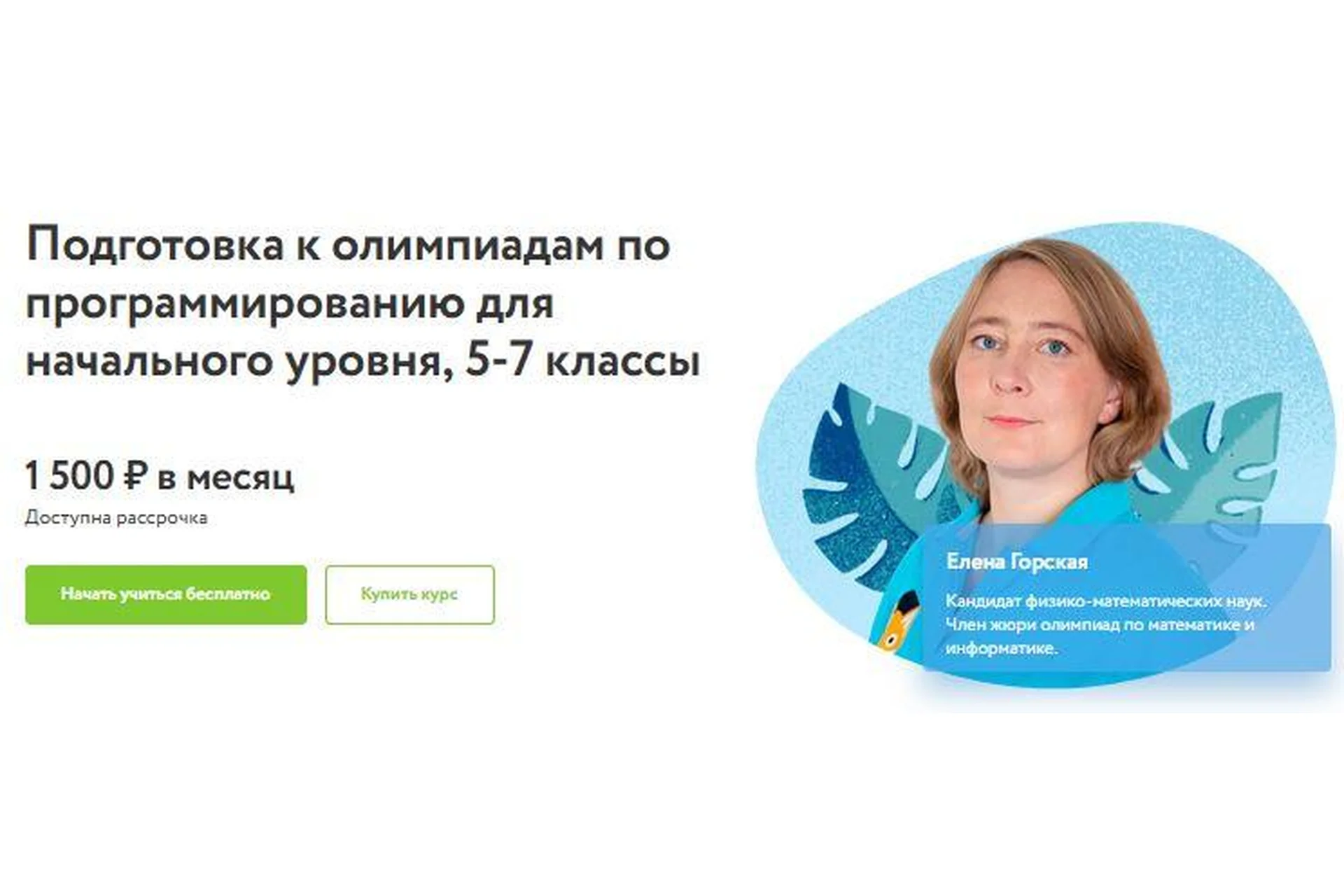 [Фоксфорд] Подготовка к олимпиадам по программированию для начального уровня 5-7 кл (Елена Горская), фото 1 из 1.