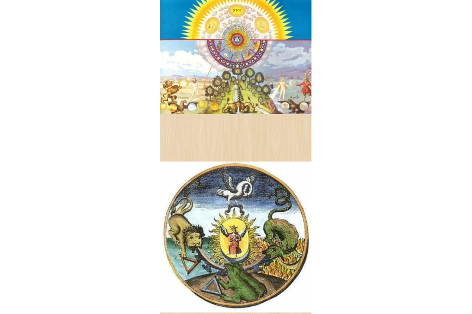 Алхимическая матрица и анализ сновидений. 1 семестр (Андрей Можаров), фото 1 из 1.