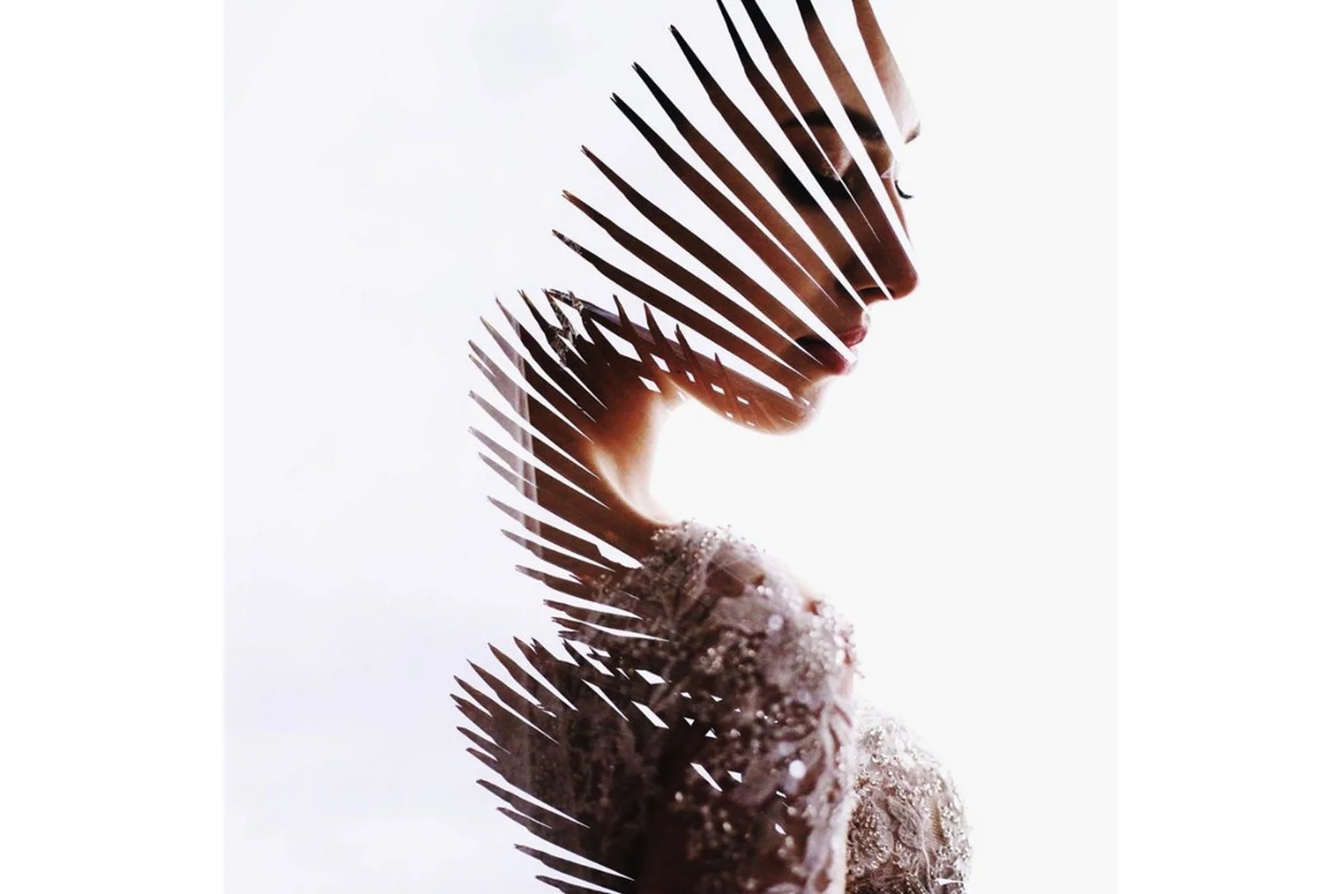 Курс по мультиэкспозиции (Кемран Ширалиев), фото 1 из 1.