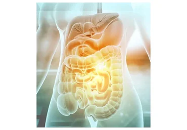 [Fantel] Восстановление желудочно-кишечного тракта (Антон Поляков)