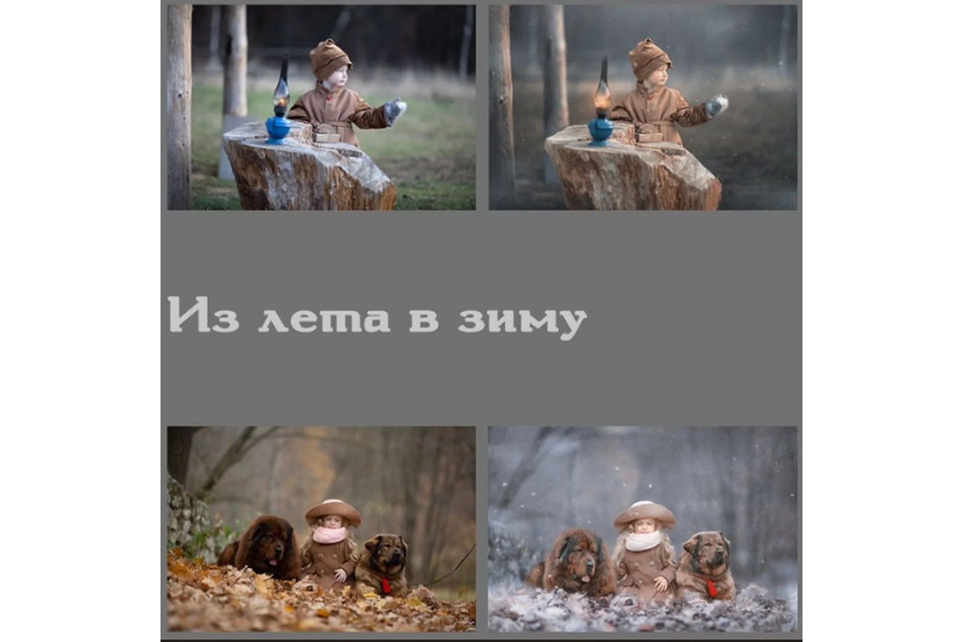 Обработка фотографий. Из лета в зиму (Arma Gray), фото 1 из 1.