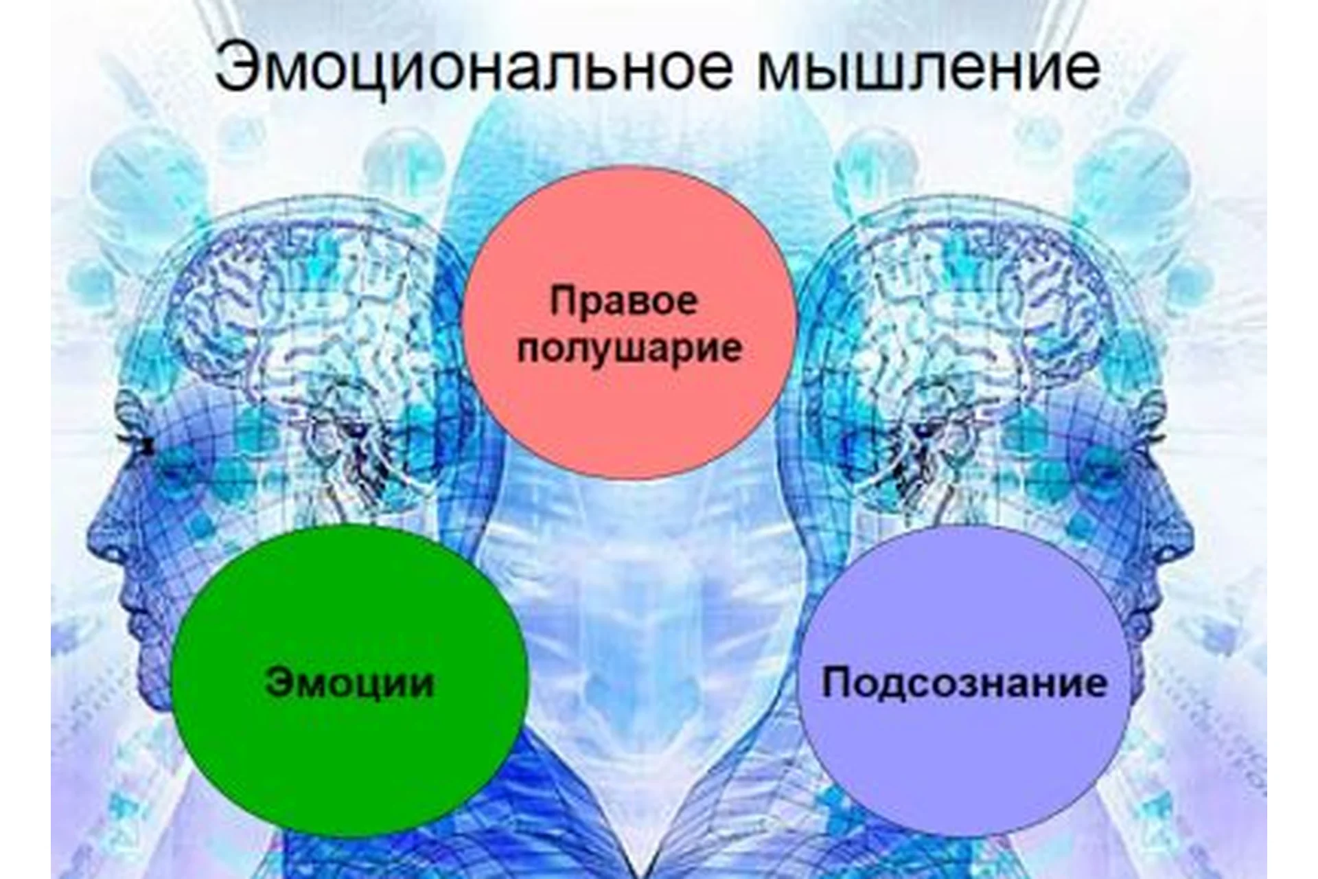Техники эмоционального мышления (Ольга Фролова), фото 1 из 1.