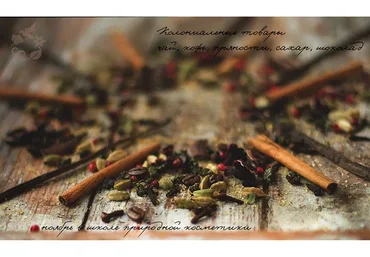 [Тонкая Материя] Колониальные товары (Маша Разнер)