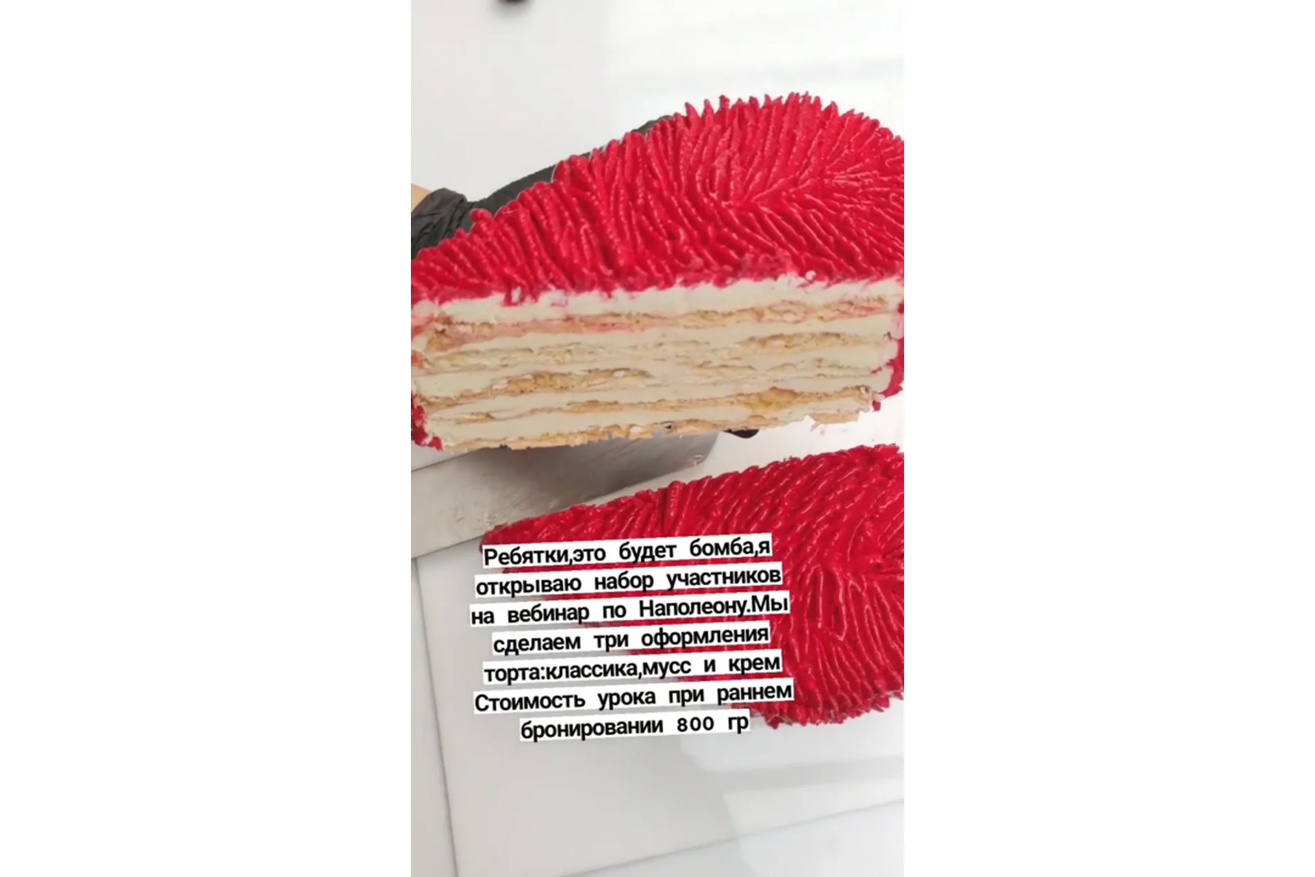 Наполеон (Светлана Кошкина), фото 1 из 1.