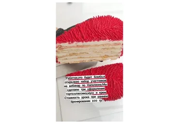 Наполеон (Светлана Кошкина)