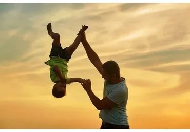 Папа. Основы и решения (Елена Веселаго)