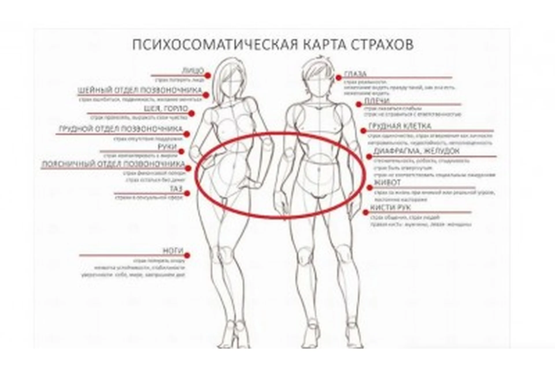 Тело. Голос. Расслабление (Анна Запрягаева), фото 1 из 1.