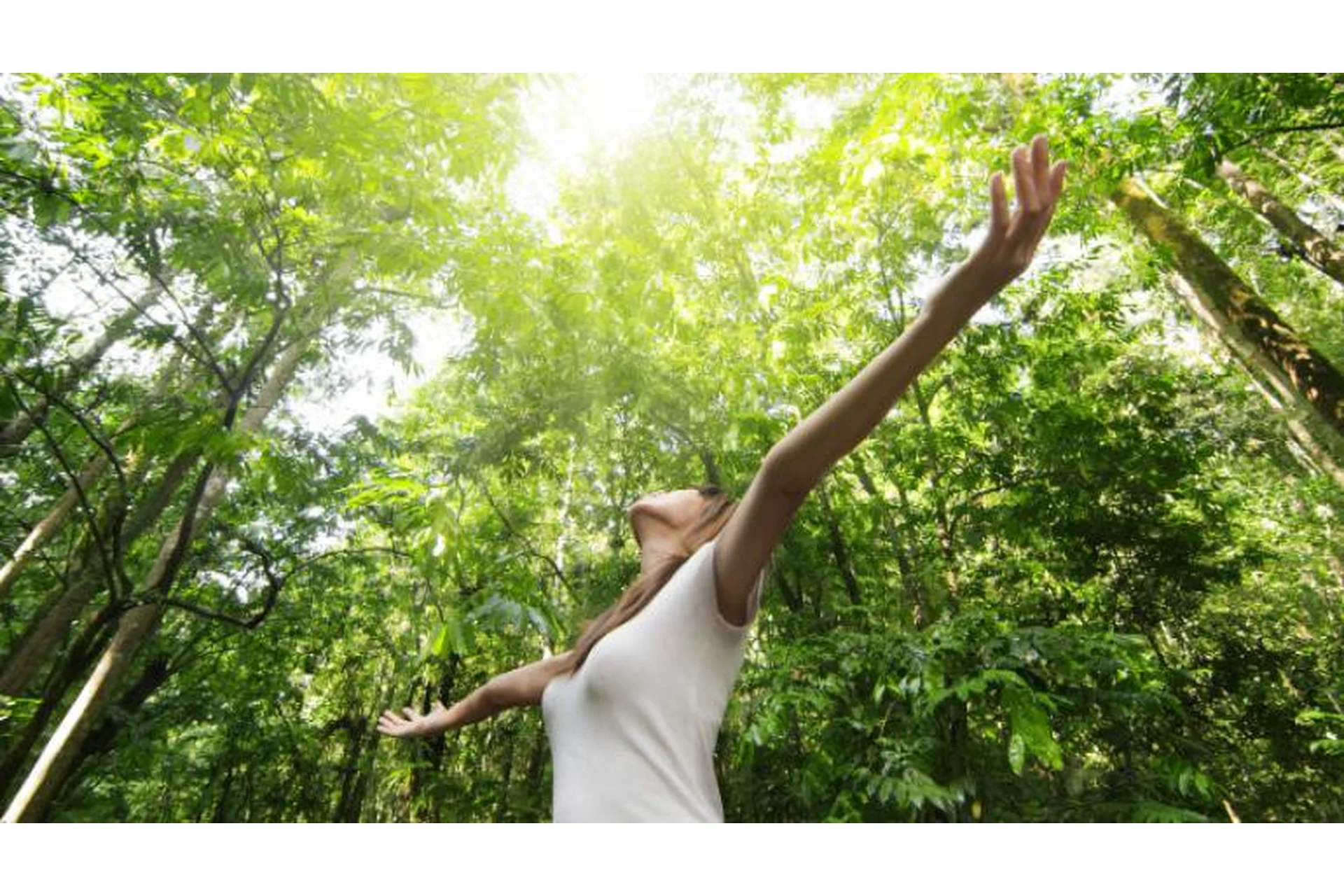 Обучение ИДИР. 5 ступень. Реконструкции по запросам. Симптомы/проблемы (Виктория Денежкина), фото 1 из 1.