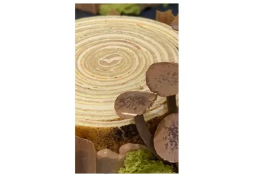 Торт Спираль Ройбуш (Людмила Букина)