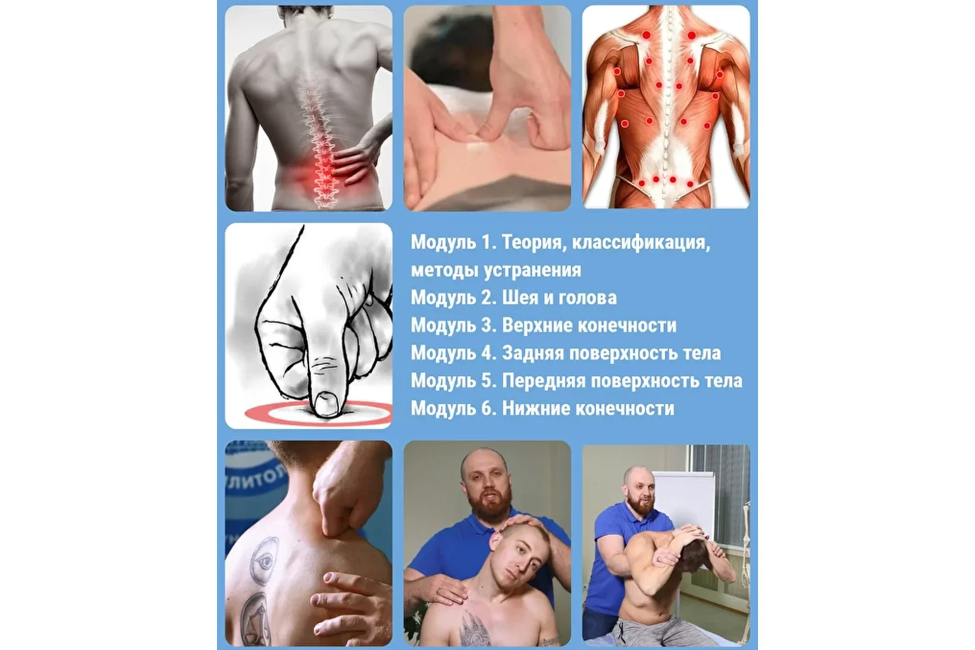 [Реабилитолог] Триггерные точки и миофасциальный болевой синдром (Алексей Кушнареко), фото 1 из 1.