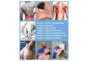[Реабилитолог] Триггерные точки и миофасциальный болевой синдром (Алексей Кушнареко)