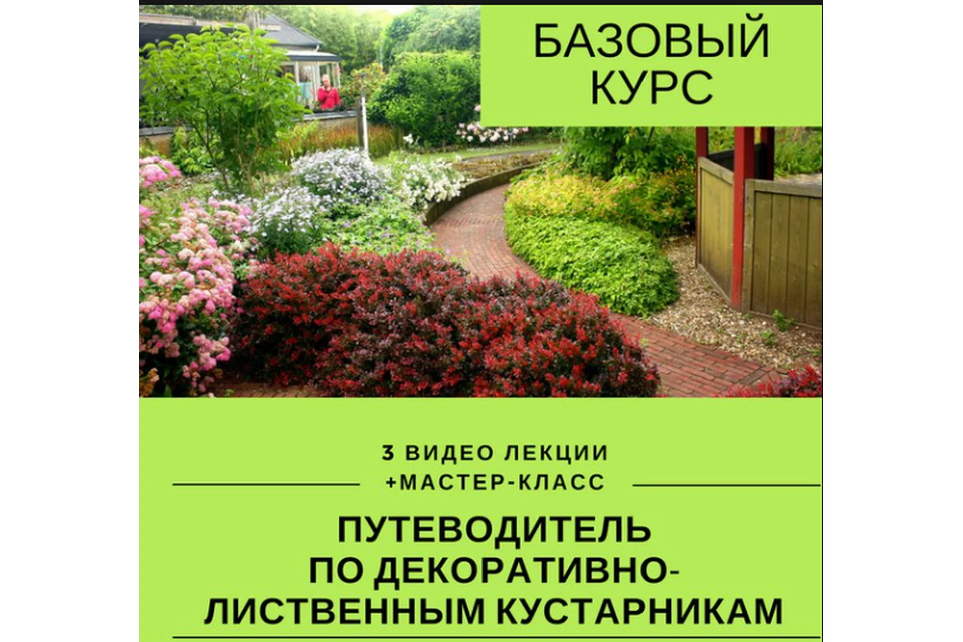 Путеводитель по декоративным растениям (Наталья Мягкова), фото 1 из 1.