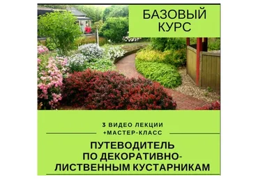 Путеводитель по декоративным растениям (Наталья Мягкова)