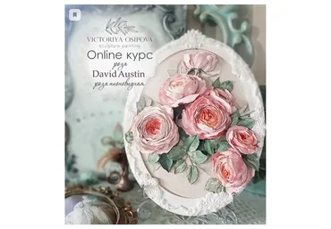 Роза Девида Остина. Пакет «Стандарт лайт» (Виктория Осипова)