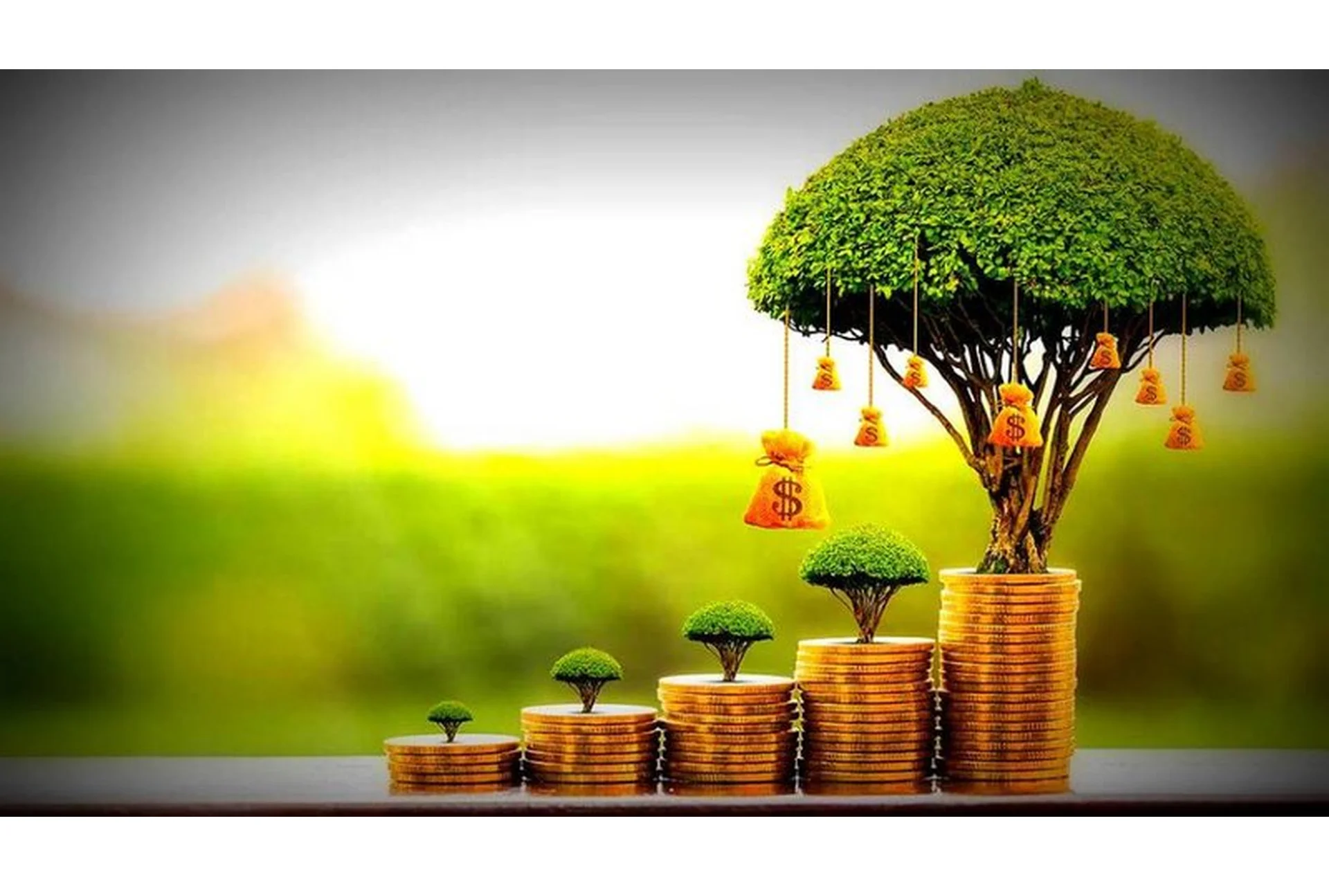 [Sigh Energy] Магнит богатства и роскоши | Wealth and Luxury Magnetic Powerful Plus (Extra Strong), фото 1 из 1.