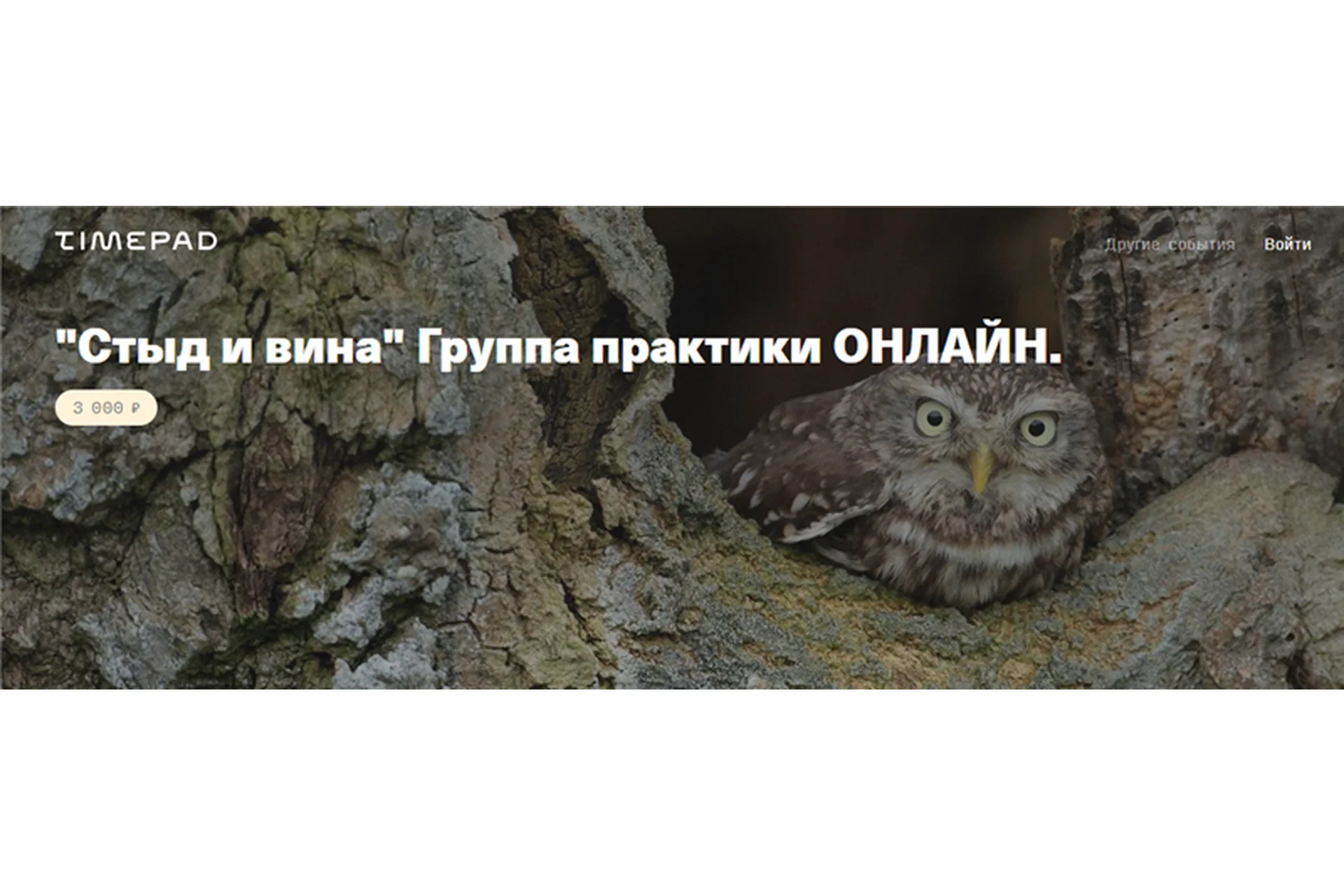 [Timepad] Стыд и вина. Группа практики онлайн (Елена Веселаго), фото 1 из 1.