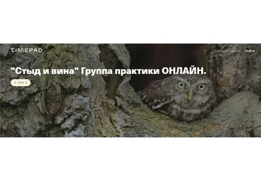 [Timepad] Стыд и вина. Группа практики онлайн (Елена Веселаго)