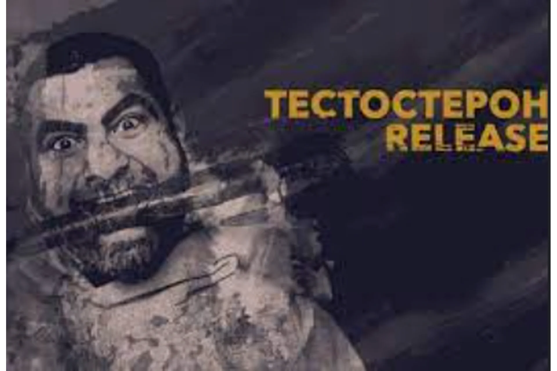 Тестостерон Release 7 поток, 2016 (Арсен Маркарян), фото 1 из 1.