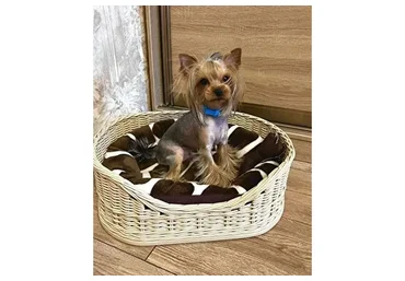 [Lozamaster] Лежанка для животных