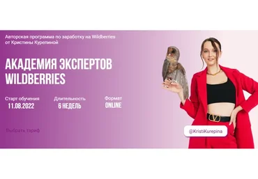Академия экспертов Wildberries. Тариф Премиум (Кристина Курепина)