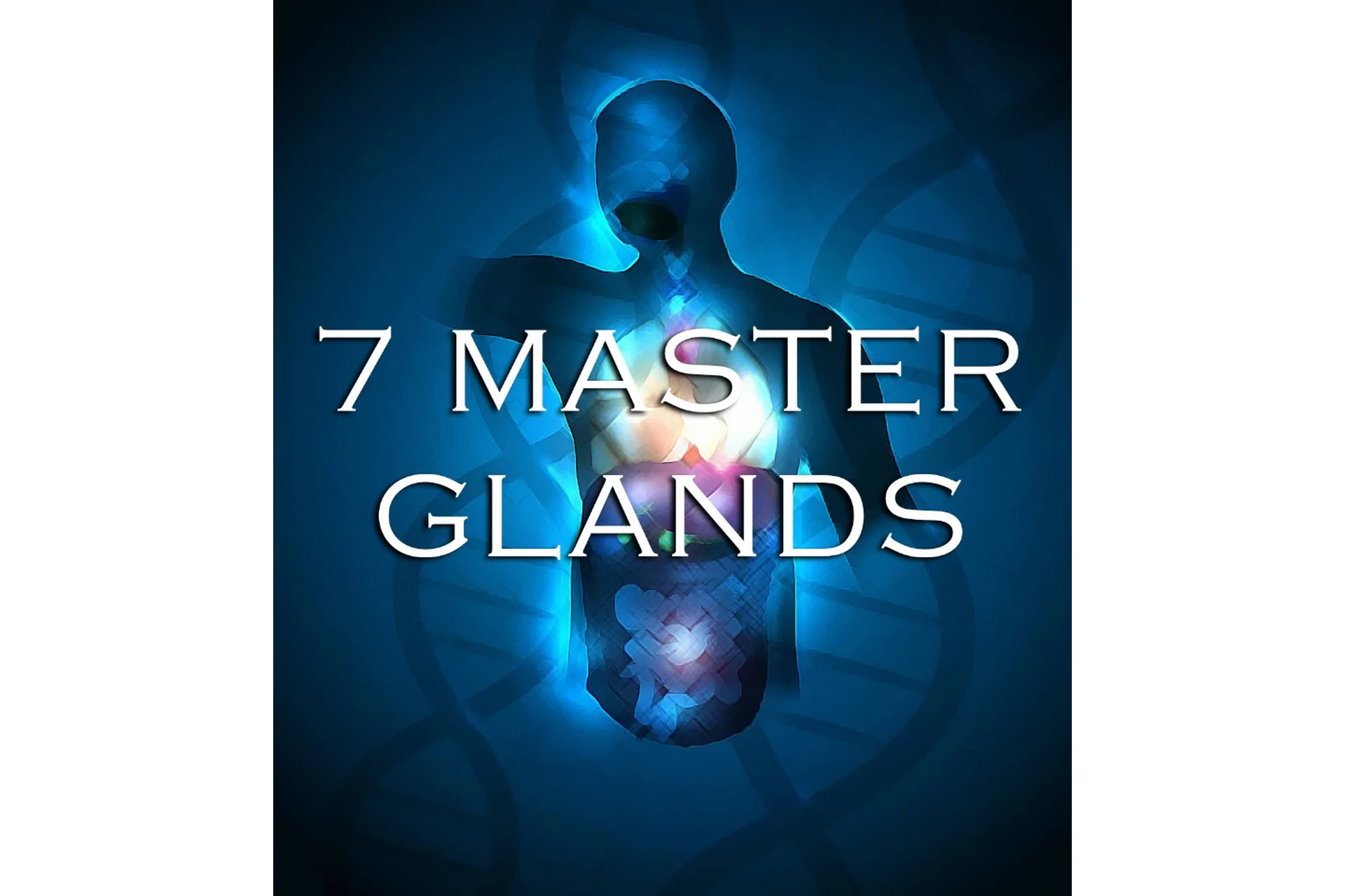 [Maitreya Fields] 7 Master Glands, фото 1 из 1.