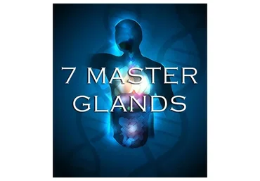 [Maitreya Fields] 7 Master Glands