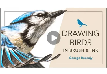 [Сraftsy] Drawing Birds in Brush & Ink. Рисуем птиц кистью и чернилами (George Boorujy)