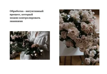 Цвет в фотографии. Урок, который. поможет найти свой цвет (Александра Бухарева)