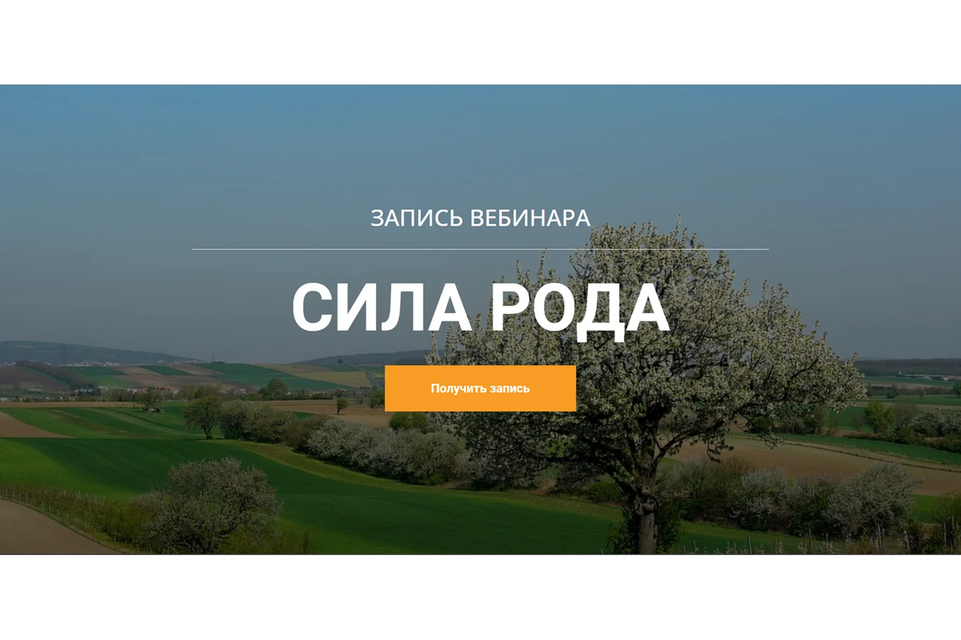 Сила Рода (Максим Кислицин), фото 1 из 1.