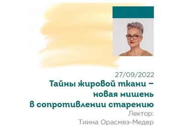 [SkinStory] Тайны жировой ткани – новая мишень в сопротивлении старению (Тийна Орасмяэ-Медер)