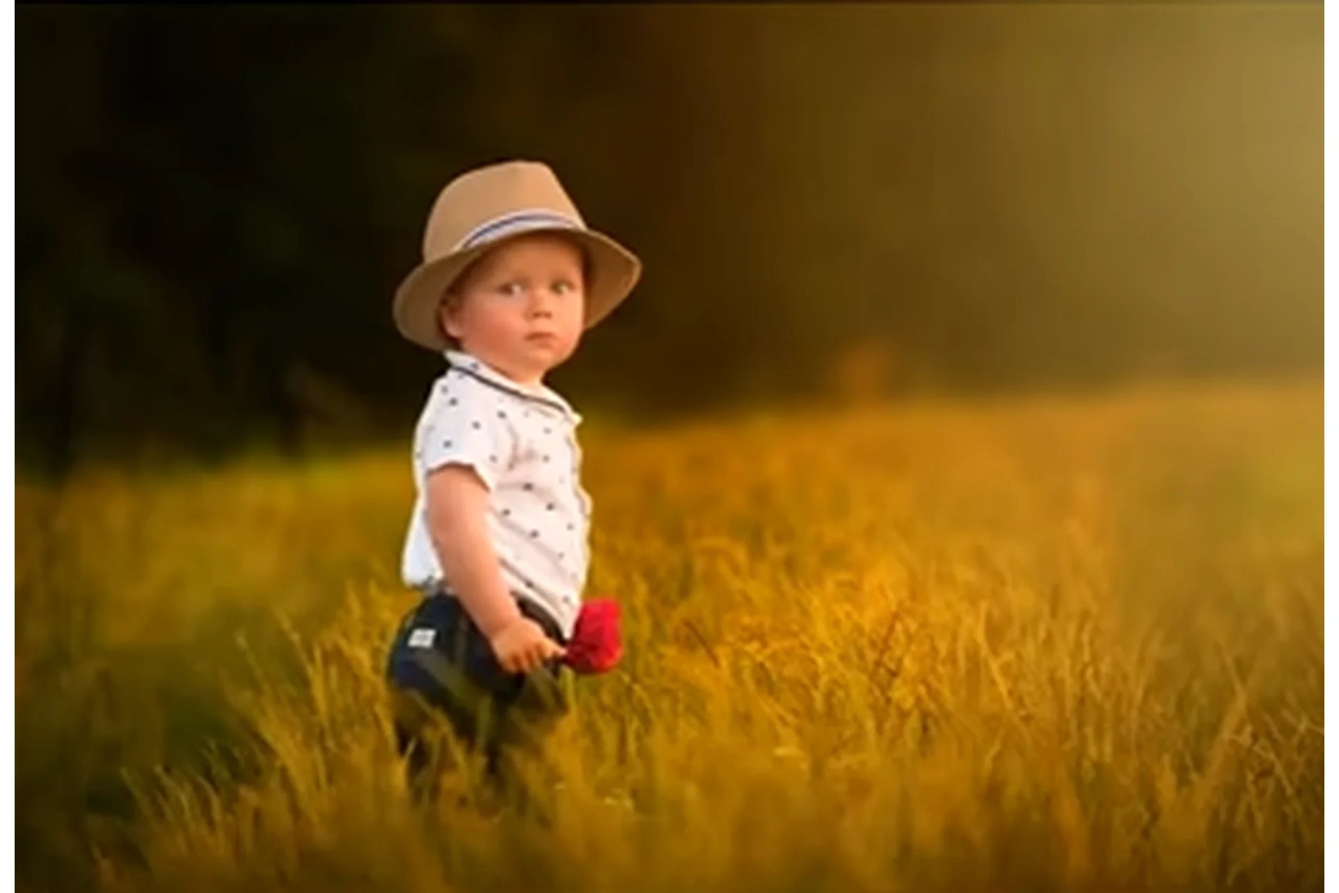 [Jinkyart] Большой сборник видеоуроков по обработке детской фотографии, 23 шт, фото 1 из 1.