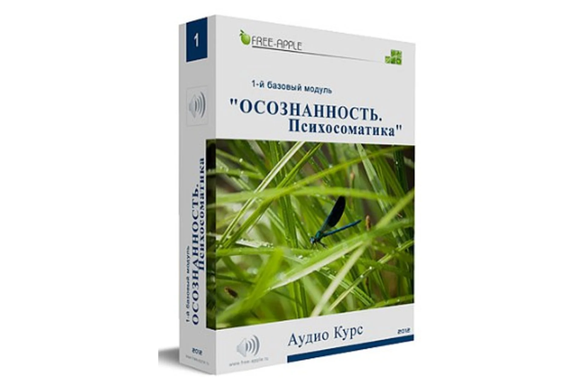 Осознанность. Психосоматика. 1-й базовый модуль (Екатерина Шморгун), фото 1 из 1.