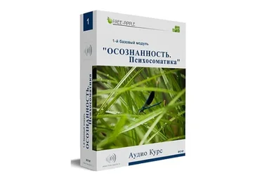 Осознанность. Психосоматика. 1-й базовый модуль (Екатерина Шморгун)