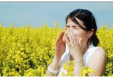 Аллергия (Василий Алешин)