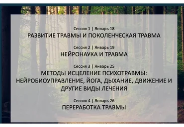 4х модульная программа (Бессел Ван Дер Колк)