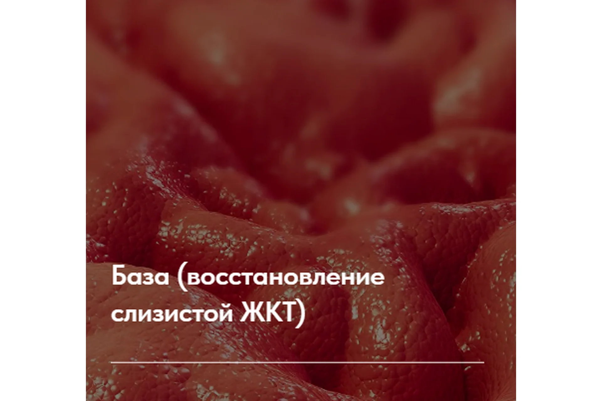 Лечебный протокол "Заболевания желчного пузыря". Тариф Без обратной связи (Елена Ержанова), фото 1 из 1.