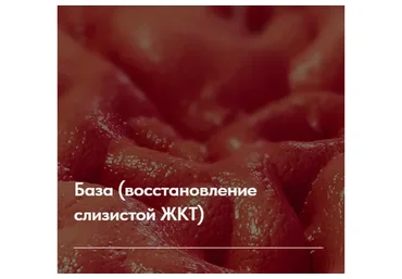 Лечебный протокол "Заболевания желчного пузыря". Тариф Без обратной связи (Елена Ержанова)