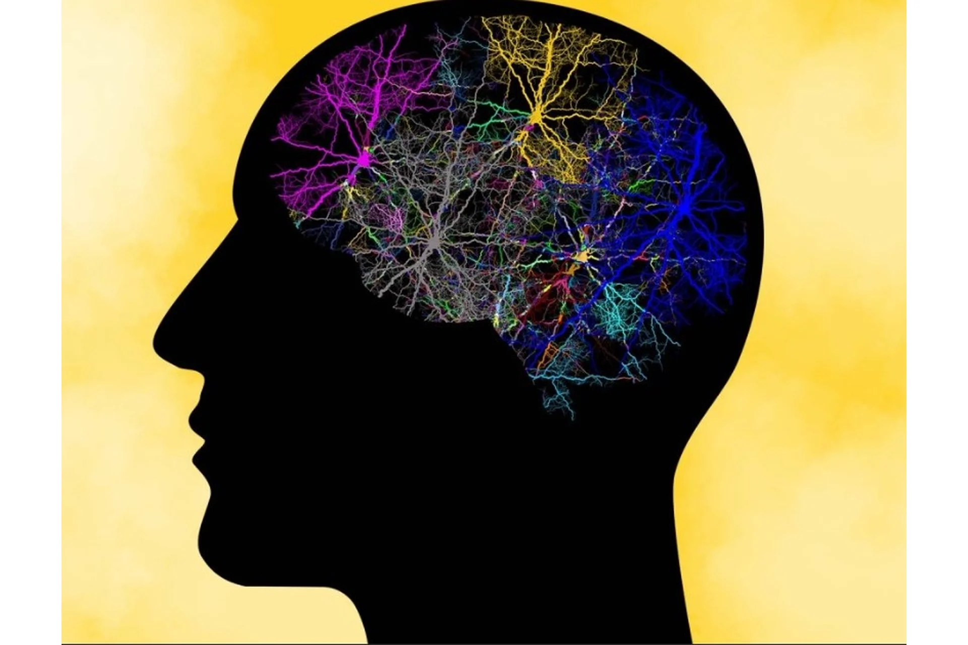 [Udemy] Системное мышление. Как стать системным мыслителем (Игорь Еграшкин), фото 1 из 1.