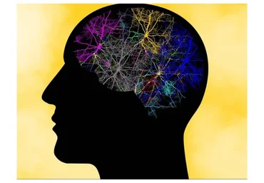 [Udemy] Системное мышление. Как стать системным мыслителем (Игорь Еграшкин)