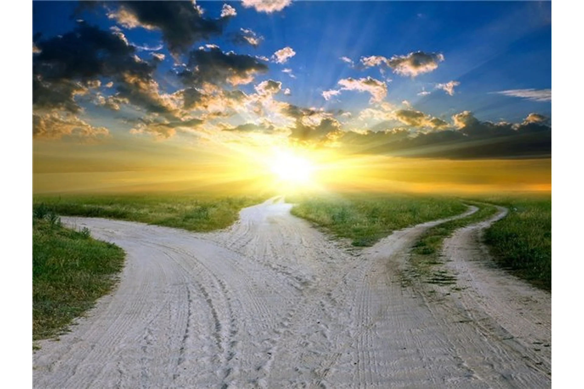 Работа с обобщенной линией жизни (Антон Ковалевский), фото 1 из 1.