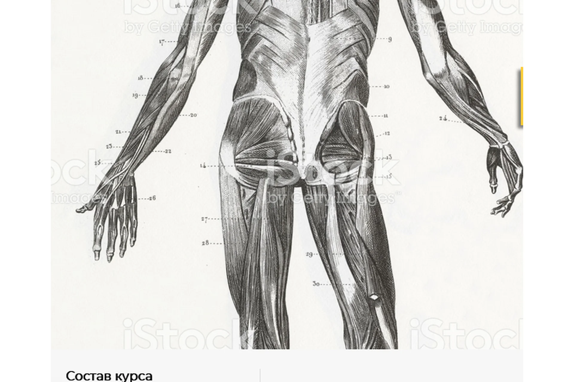 [Crowstore] Блоки упражнений для функциональной тренировки. Часть 2 (Анна Воронина), фото 1 из 1.