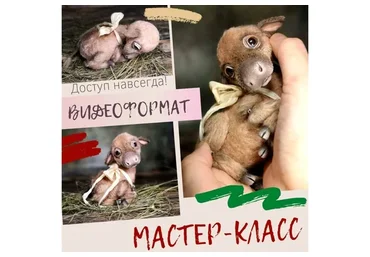 Подвижный Теленок (Наталья Шумейко)