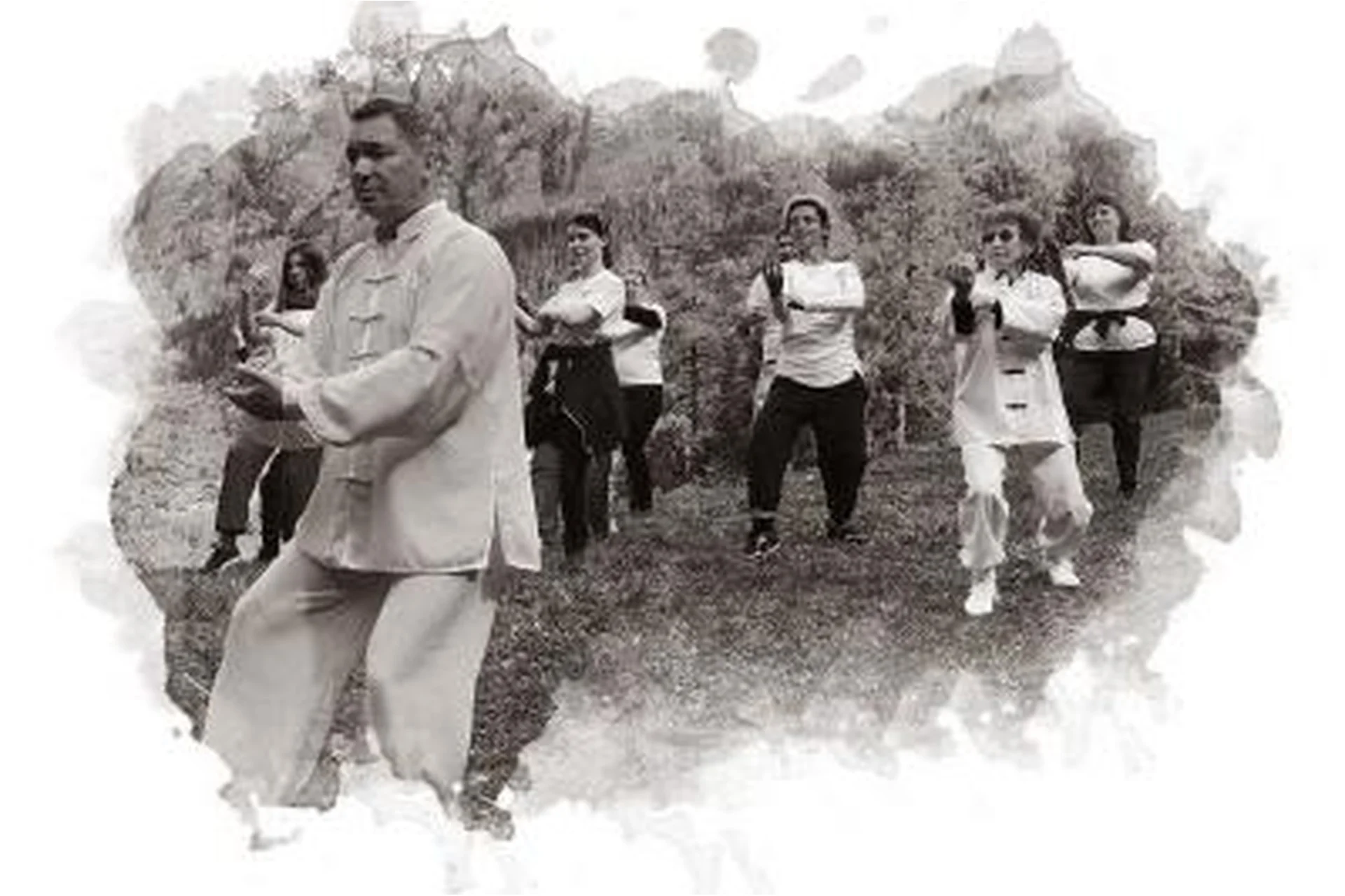 Тайцзицюань 19 форм стиля Чень (Владимир Осипов), фото 1 из 1.