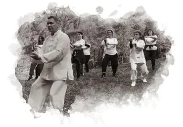 Тайцзицюань 19 форм стиля Чень (Владимир Осипов)