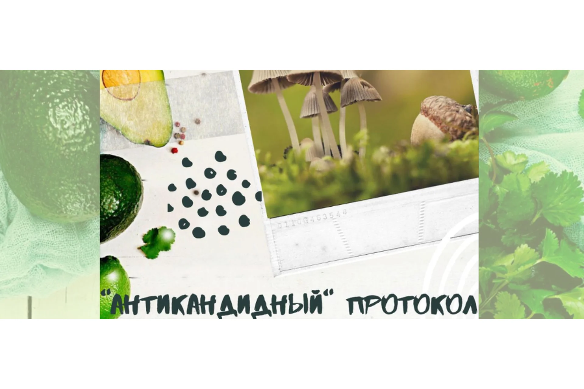 Антикандидный протокол (Светлана Литвиненко), фото 1 из 1.