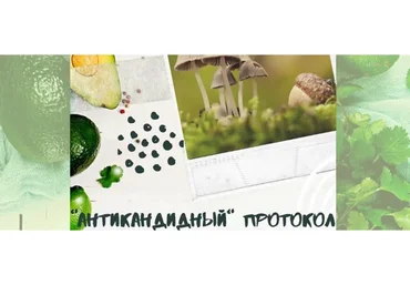 Антикандидный протокол (Светлана Литвиненко)